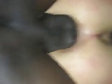 Moglie cuckold inculata da bel negro